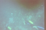 Taylor Scuba Diving 07